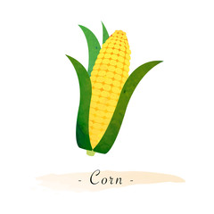 Colorful watercolor texture vector healthy vegetable corn