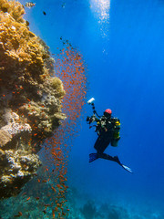 Photographing under water