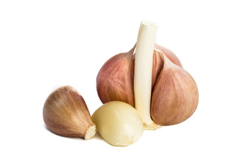 Garlic isolated on white background