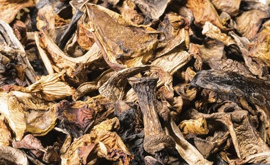 Background of dried mushroom. Natural healthy food concept. Macro shot.