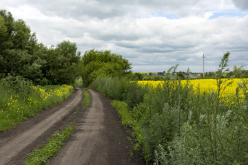 Fototapeta na wymiar dirt, country road in a rural location, grass, yellow flowers, sky with clouds