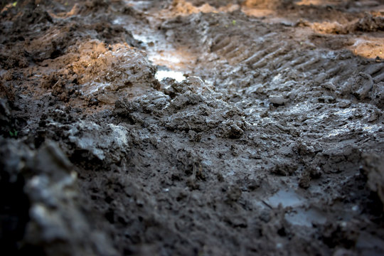 Dirty road. Off-road. Dirt track in forest. Selective focus