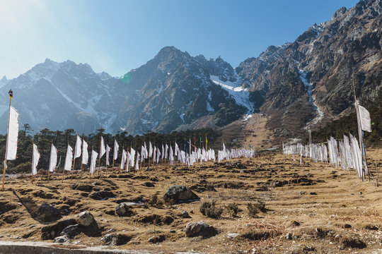 Yumthang Valley with Tibetan prayer flags on grass field in winter at Lachung. North Sikkim, India.