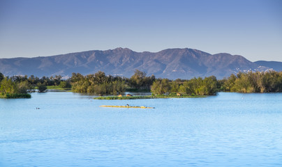 aiguamolls de lemporda natural park
