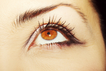 Obraz premium A beautiful insightful look woman's eye. Close up shot