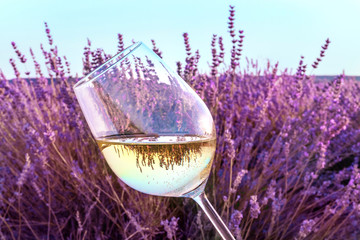 Glass of white wine in lavender field © laplateresca