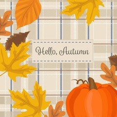 Autumn season background with pumpkin, yellow leaves and plaid fabric.