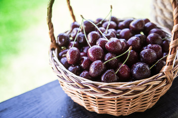 Closeup of cherries in a basket. basket with picked cherries
