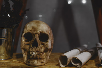 Still life with human skull and flowers