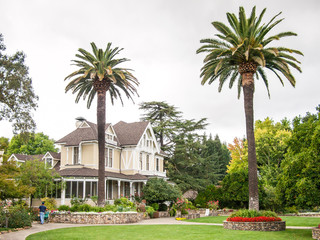 Fototapeta premium Sutter Home Winery