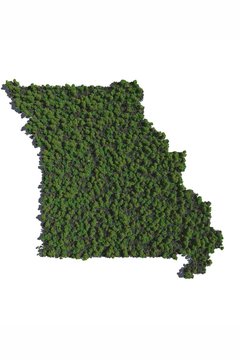 Missouri in Trees