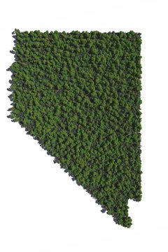 Nevada in Trees