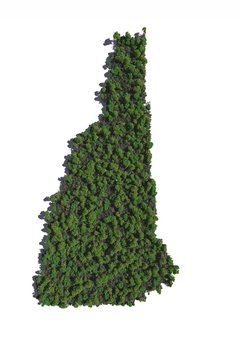 New Hampshire in Trees