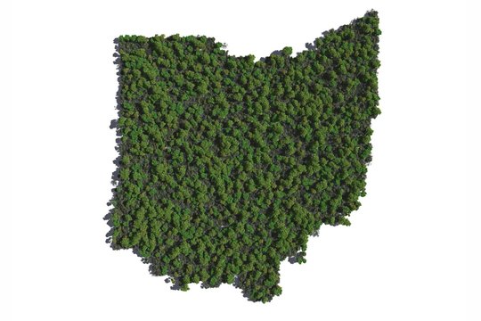 Ohio in Trees