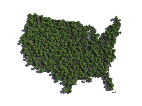 United States in Trees