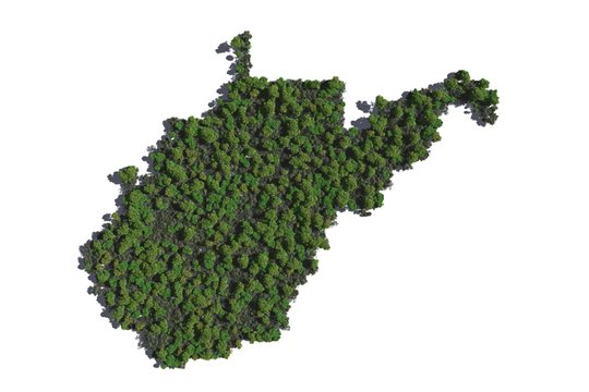 West Virginia in Trees
