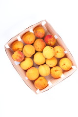 Peaches, apricots and plums in a basket isolated on white background