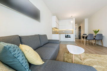 Modern living room and kitchen