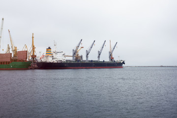 Cargo crane sea port