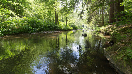 clear water stream