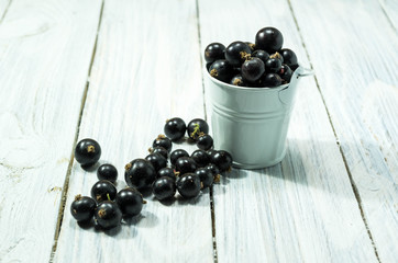 Bucket of berries. Blackberry. Bucket of currant.