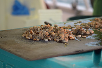 Chopped Clams for Bait