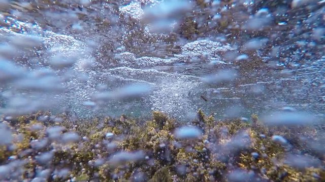 movimento di alghe subacquee e bollicine di onde marine