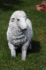 Stone Sheep