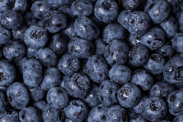 Blueberry