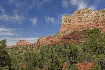 Red Rock Bluffs Among the Trees