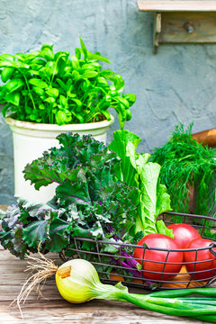 Kale, basil and tomatoes on table Outdoor shot