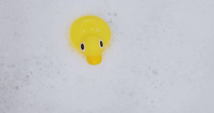 Bathroom Rubber Ducklingr floats in water with copy space