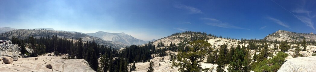 panorama d'été dans le parc national du Yosemte avec vue sur les falaises, les rochers et la forêt de sapins