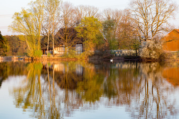 Fototapeta na wymiar nice rural scenery at a pond in spring