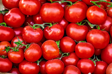 red tomatoes background. Group of tomatoes