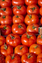 red tomatoes background. Group of tomatoes