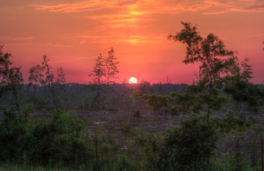 Obraz na płótnie Canvas Savannah Sunset 17