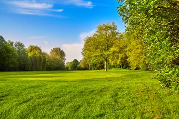Gordijnen green grass field meadow. landscape panorama © EwaStudio