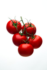 Red tomatoes on a branch with drops of water on a white background