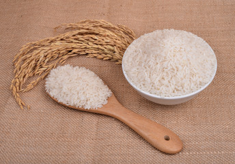 Close up white rice on the wooden plate and rice plant , uncooked raw cereals