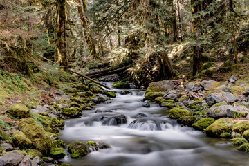 Obraz premium Olympic National Park River Long Exposure 1