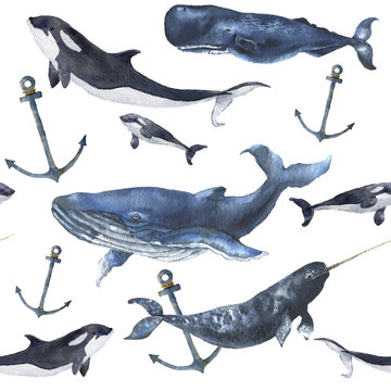 Watercolor seamless pattern with whales and anchor. Hand painted ornament with blue whale, narwhal, orca and sperm whale isolated on white background. Nautical illustration for design