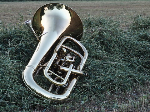 Euphonium On The Grass