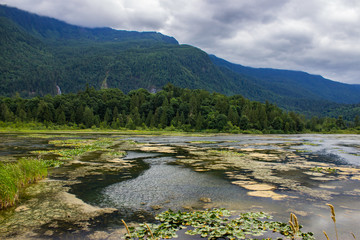 Naklejka na ściany i meble picturesque photo looking off the lookout in the middle of Cheam Wetlands right beside Flood Falls just outside Chilliwack, British Columbia, Canada