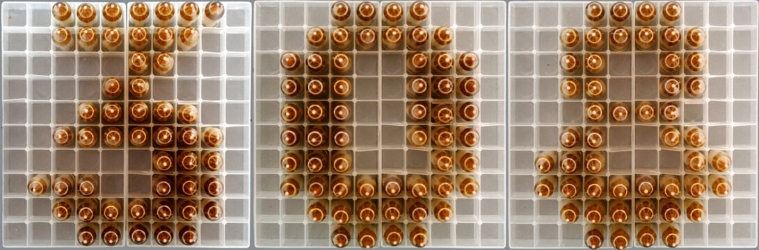 308 caliber sign composed with rifle rounds on ammo trays
