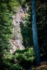 Obraz premium Cascade du Saut du Gier dans le Parc du Pilat