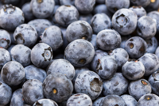 Natural berries background - close-up photo of fresh natural organic blueberries