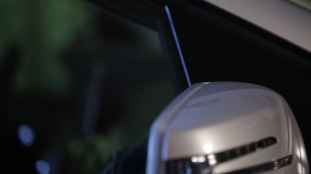 Side mirror and car interior