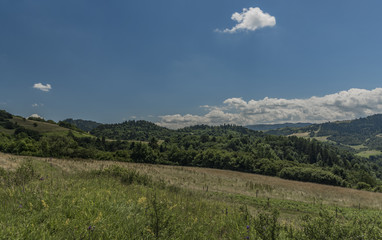 Fototapeta na wymiar Pieniny national park in Slovakia and Poland