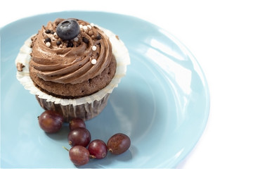Chocolate cake with chocolate cream and blueberries on top,